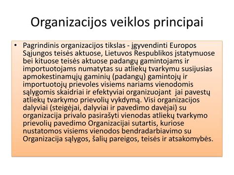 Schematinis Padangų importuotojų organizacijos veiklos modelis, iliustruojantis gamintojų ir importuotojų prievolių įgyvendinimą.