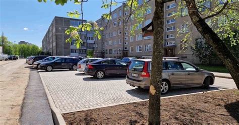 Nuotrauka su geotinklu ant vejos, skirta automobilių stovėjimo vietoms įrengti