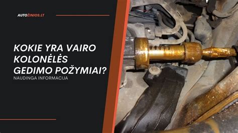 Vairo kolonėlės gedimų požymių schema