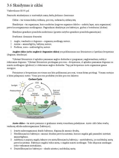 Infografika: statinės pusiausvyros sąlygos ir jėgų skaidymas