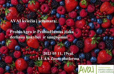Infografika: Ratlankių įtaka važiavimo kokybei, svoriui ir saugumui
