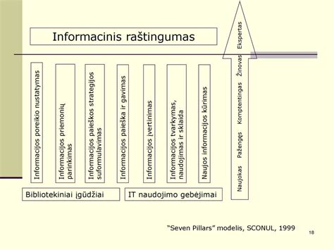 Administracinės baudos mokėjimo procesas: informacijos gavimas, apmokėjimas ir apskundimas