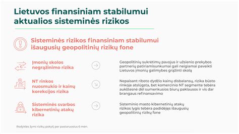 Infografika: verslo rizikos ir finansinio stabilumo rodikliai
