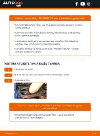 Infografika: salono filtro keitimo žingsniai