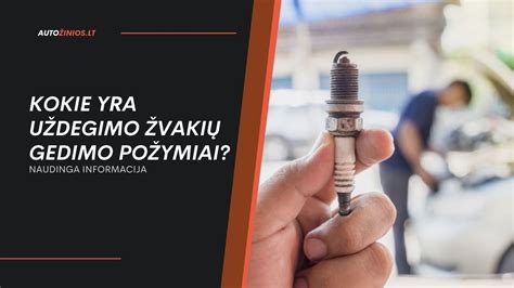 Infografika, lyginanti įvairių automobilių gamintojų (BMW, Ford Ecoboost, Toyota) uždegimo žvakių priežiūros ypatumus ir galimas problemas.