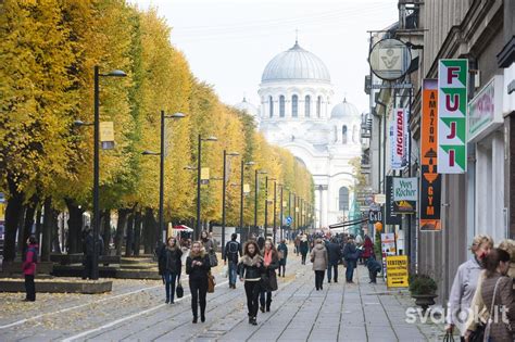 Teminis Kauno miesto centro nuotrauka su Laisvės alėja