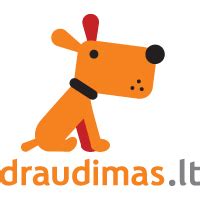 Draudimo bendrovės atstovas paaiškina draudimo sąlygas
