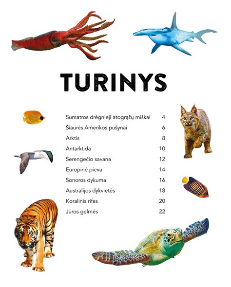 Sąrašas su reikalingais dokumentais, išvardintais punktais