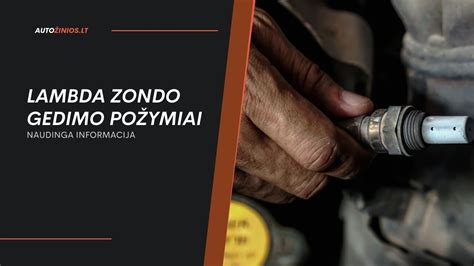 Infografika, iliustruojanti pagrindinius lambda zondo gedimo požymius.