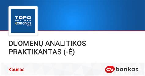 Analitikos duomenų ataskaita