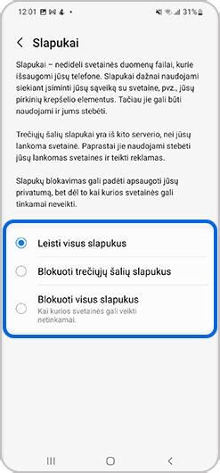 schema, vaizduojanti, kaip slapukai įrašomi į naršyklę ir saugo vartotojo pasirinkimus