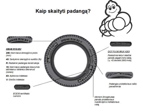 automobilio padangų tipų iliustracija
