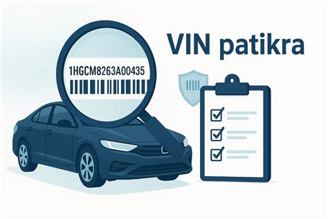 VIN numerio patikra