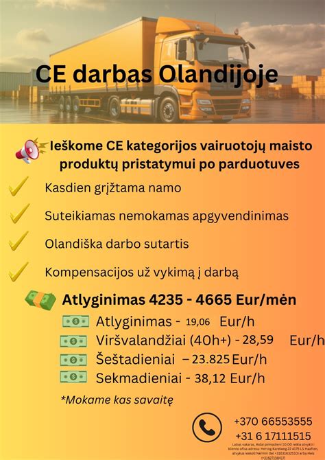 infografika: CE kategorijos vairuotojų paklausos sektoriai (logistika, statyba, komunalinės paslaugos, tarptautiniai pervežimai)