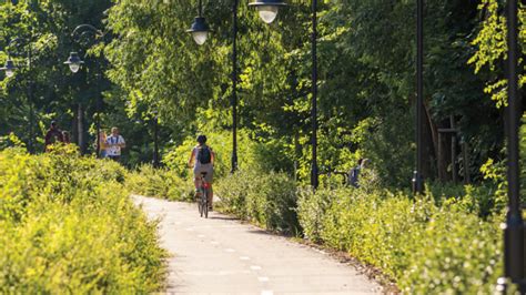 Tematinė nuotrauka: žaliosios zonos ženklinimas
