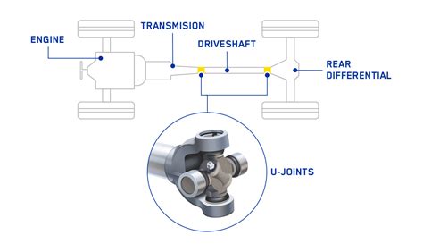 Scheme of a drive shaft with external and internal joints