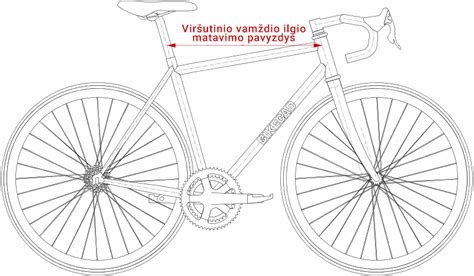 Infografika: tinkamo vairo aukščio nustatymas pagal dviračio tipą