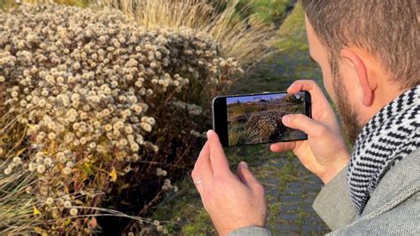 žmogus skaito atsiliepimus išmaniajame telefone