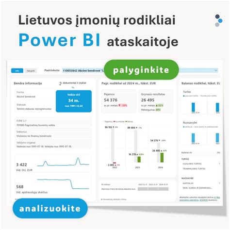 Infografika, rodanti duomenų srautus VIN ataskaitoje