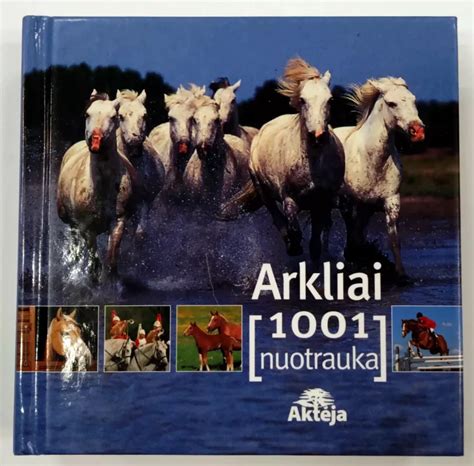 Lenktynių šturmano su kelio knyga nuotrauka