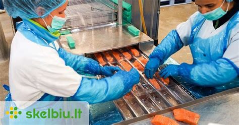Tematinė nuotrauka: žuvies fabrikas ir autokrautuvai