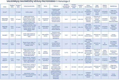 palyginamoji lentelė, iliustruojanti standartinių ir išcentrinių varžtų konstrukcijos skirtumus