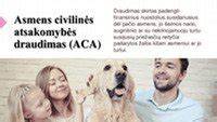 Teminė nuotrauka: vairuotojų civilinės atsakomybės draudimas