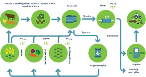 Schematiška iliustracija, vaizduojanti leistino žaliojo dyzelino panaudojimo sritis žemės ūkyje