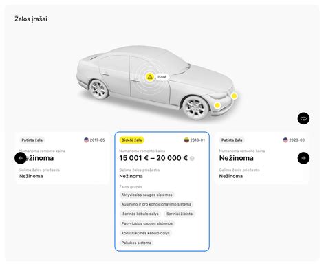 Infografika, iliustruojanti transporto priemonės istorijos patikrinimo žingsnius