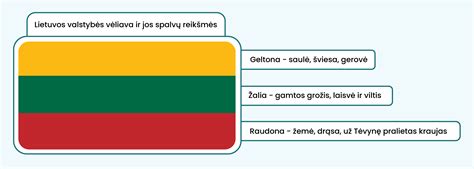 schematinis vaizdas, kaip atrodo raudona, geltona ir žalia vėliavos paplūdimyje ir ką jos reiškia