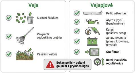 Infografika: Guolių patikros žingsniai prieš važiavimą