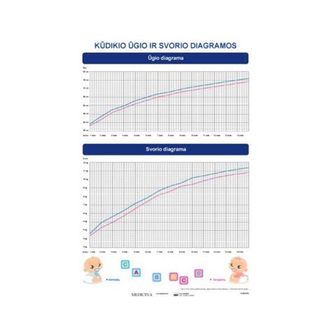 infografika apie leidžiamus sunkiasvorio transporto gabaritus ir svorio parametrus