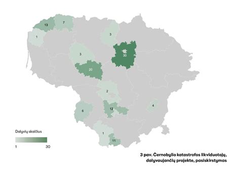 Lietuvos likviduotojų susibūrimas