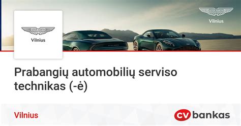 Infografika, vizualizuojanti pagrindines automobilių serviso paslaugas.