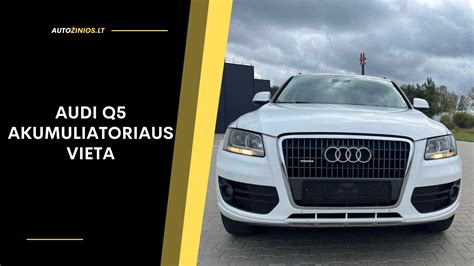 Automobilio „Audi“ avarijos vieta ir suniokotas degalinės ženklas