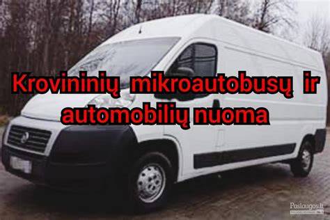 Infografika: Krovininių mikroautobusų skaičius ir našumas