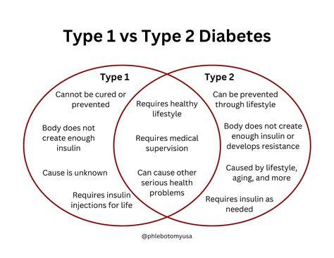 Infografika: Type 1 vs Type 2 įkrovimo kabeliai - skirtumai, dažniausiai pasitaikantys regionai