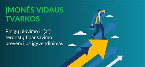 Infografika: PVM ir nusidėvėjimo išskaidymas pagal automobilio kategorijas