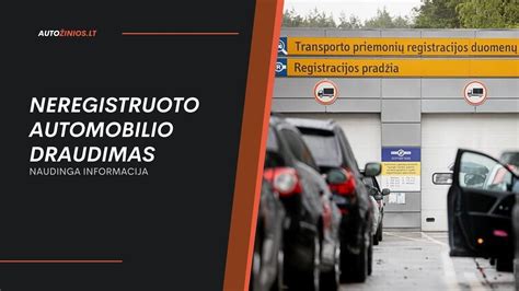 automobilio draudimo politika