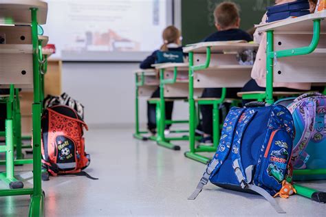 Mustangas mokyklos klasės ir mokomosios erdvės infografika