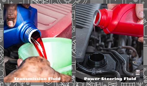 Infographic on the functions of power steering fluid