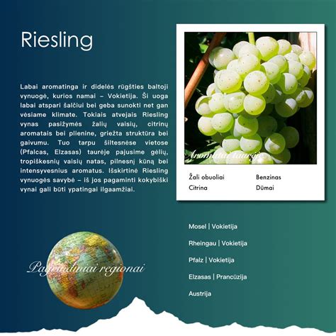 infografika apie skirtingų tipų alyvų (mineralinės, pusiau sintetinės, sintetinės) sudėtį ir savybes