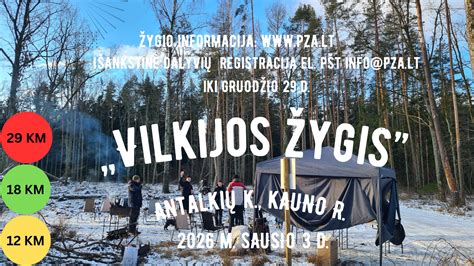 Vidinė granata - pusašio šarnyras su aprašytais elementais