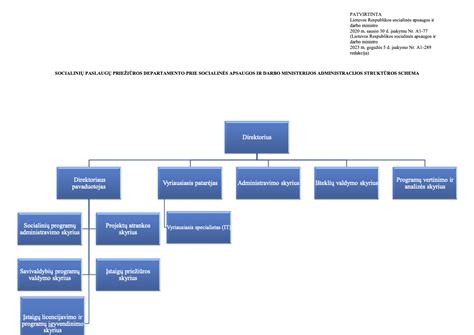 Schema su darbo pareigų pažeidimų rūšimis ir jų pasekmėmis