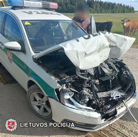 iliustracija su keliaujančiu vairuotoju ir policijos automobiliu