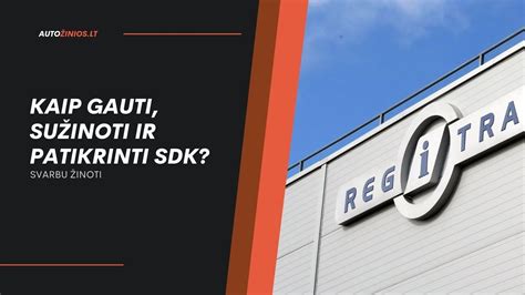 Vizualizacija, kaip patikrinti parktronikų daviklius.