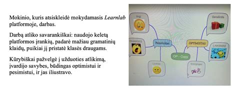 Schema, iliustruojanti pagrindinius muitų teisės pažeidimų straipsnius ir jų tarpusavio ryšį.