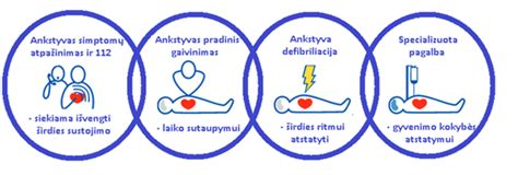 Infografika: mokymo centro paslaugų apžvalga