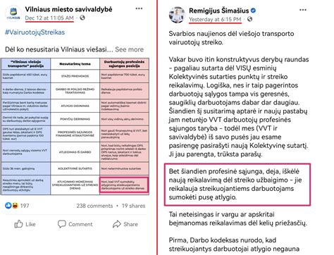 Infografika, vizualizuojanti skirtingas vairuotojų kategorijas ir jų reikalavimus.