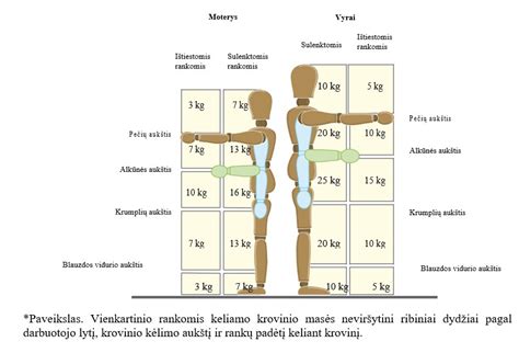 Infografika: vairuotojo-ekspeditoriaus kasdienybė: nuo pasirengimo reisui iki krovinio pristatymo ir dokumentų tvarkymo.